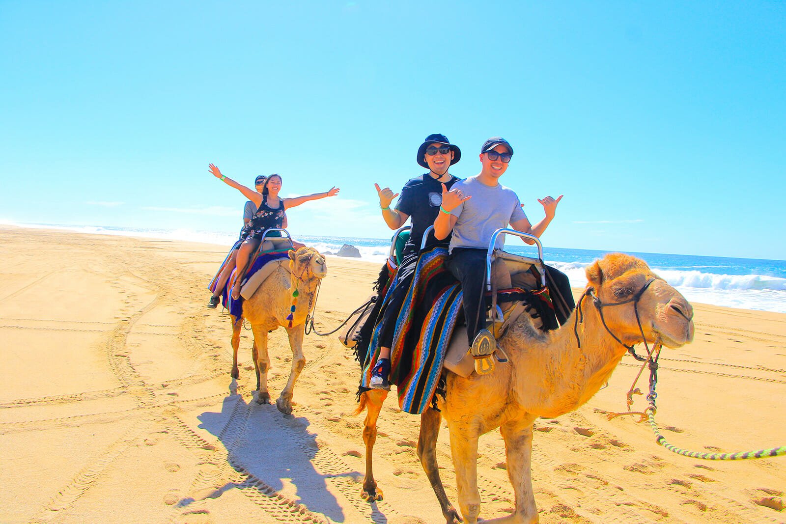 camel-ride-cabo-san-lucas-mexico-fun-vacation-22