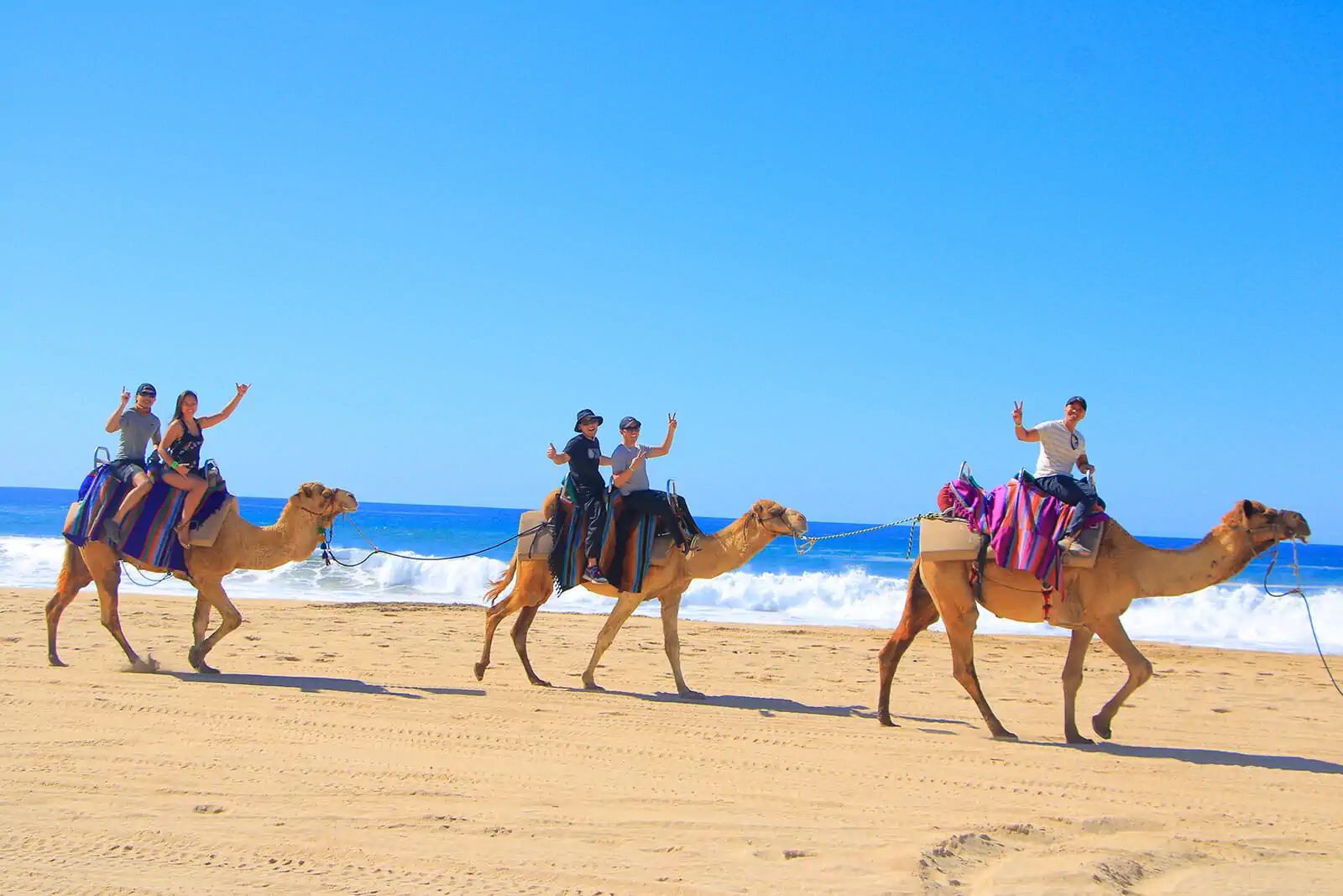 camel-ride-cabo-san-lucas-mexico-fun-vacation-24.webp