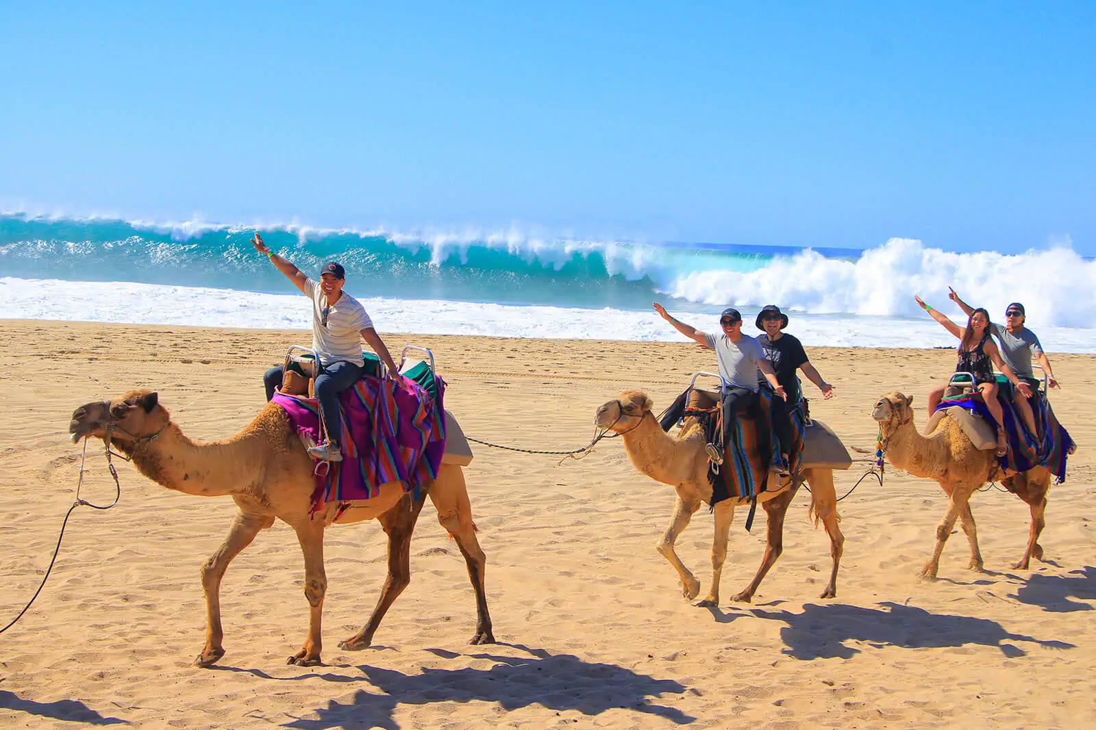 camel-ride-cabo-san-lucas-mexico-fun-vacation-25.webp