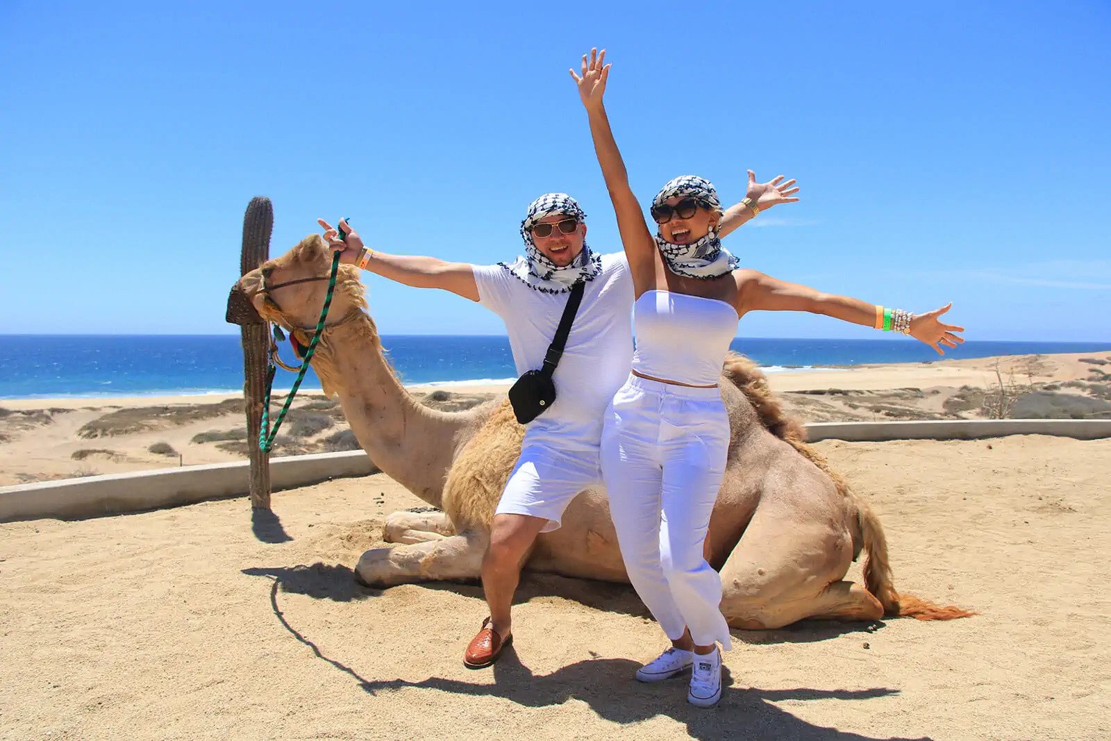 camel-ride-cabo-san-lucas-mexico-fun-vacation-36.webp