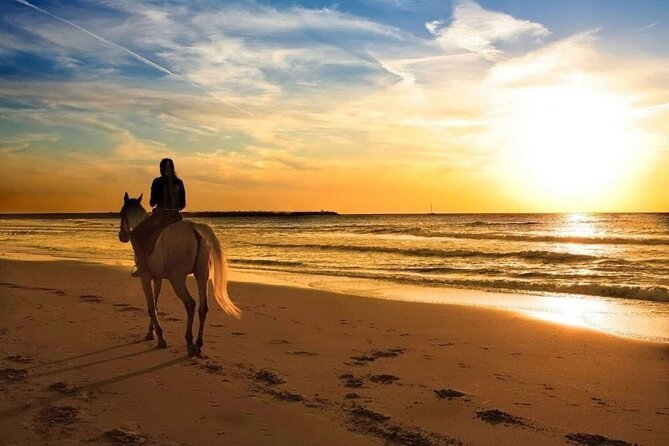 horse riding 4