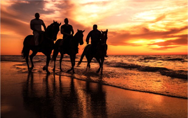 sunset-horse-riding-on-the-beach-or-desert-in-hurghada.5cf7825351e3b